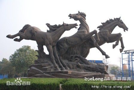 泉州到義烏貨運專線